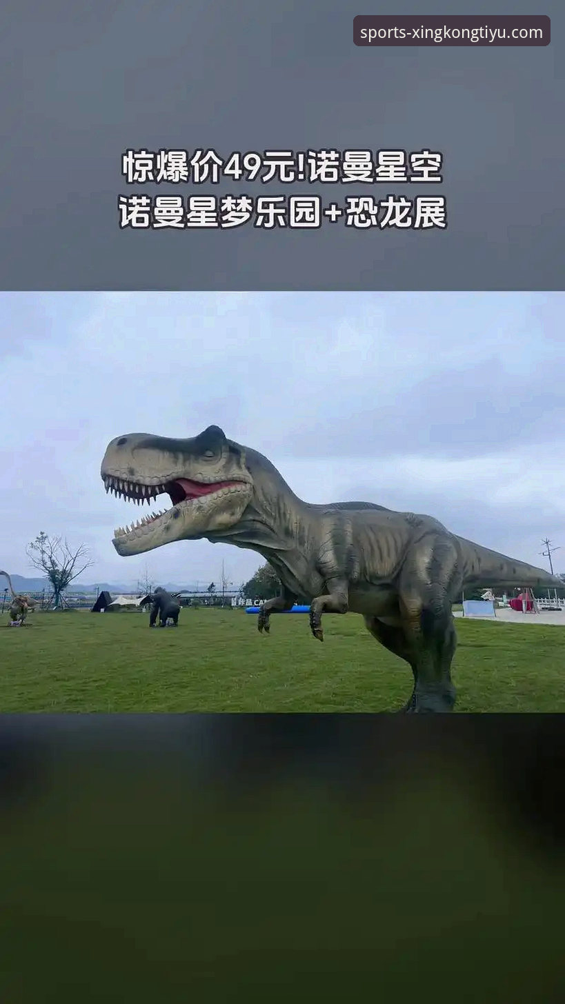 星空体育平台登录入口全面解析：官网、手机版与下载路径深度对比